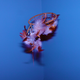 Illustration for article titled Shooting Challenge Gallery: Plunge II